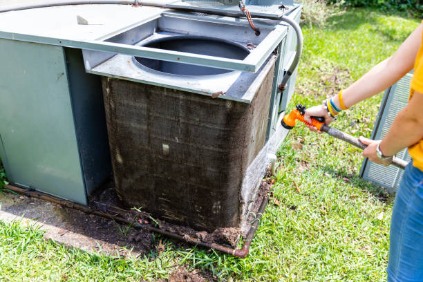 Best Air Duct Mold Removal  in St Helen, MI