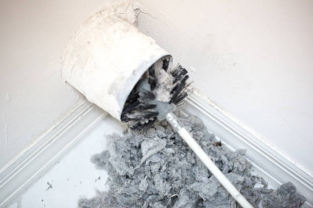 Best Commercial Air Duct Cleaning  in St Helen, MI