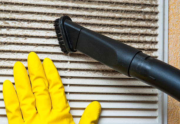 Best Affordable Air Duct Cleaning  in St Helen, MI